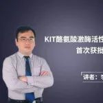 “GIST新时空”专栏｜李赟教授解读：KIT酪氨酸激酶活性抑制剂首次获批后20年