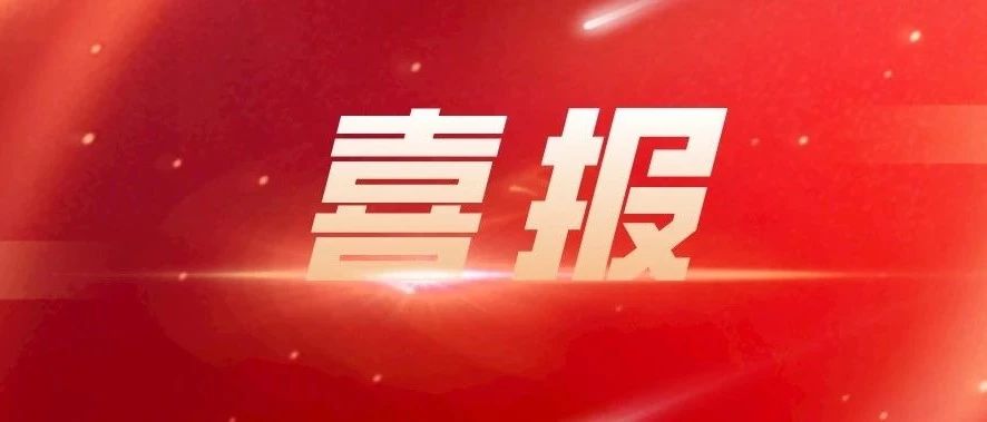 喜报！这4个项目荣获第十八届上海医学科技奖！