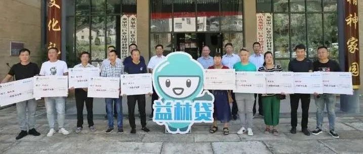 龙泉发放地役权补偿收益贷款 点“林”成金化解融资难