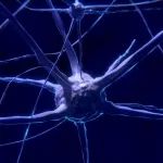 新锐获1830万欧元A轮融资，开发淀粉样变性新疗法