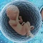 基因检测解码不孕不育：沪鲁两地院士团队合作揭秘早发性卵巢功能不全遗传密码