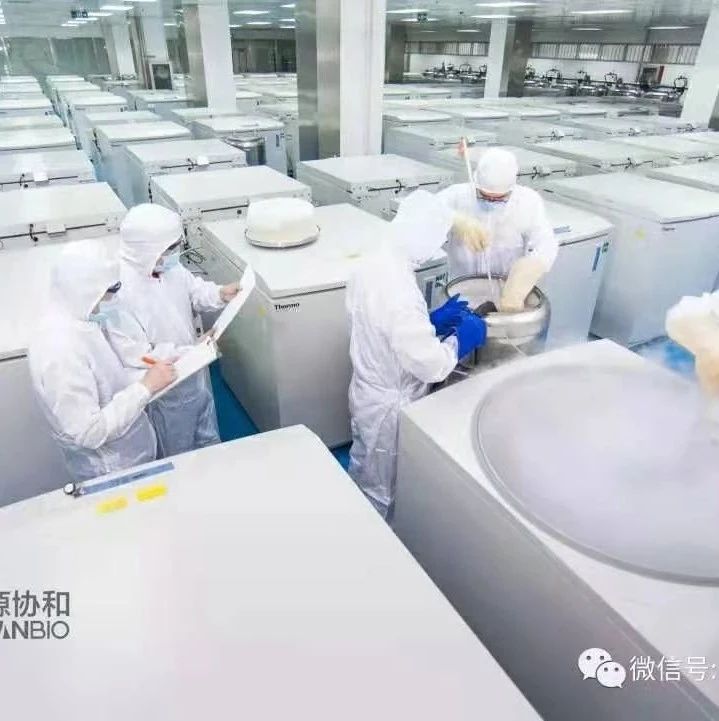 人脐带间充质干细胞又一重要临床应用成果，国家重点研发计划干细胞项目！华西医院实现四川省干细胞临床研究项目国家备案审查工作零突破