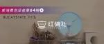 主打造景，依靠私域，千万销量的布卡星要做一个全球化的小宠物品牌