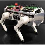 基于猫的神经生理学实验，日本科学家研发机器猫
