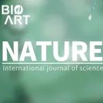 Nature | 冯小琦/李丕龙合作揭示植物精细胞染色质凝缩新机制