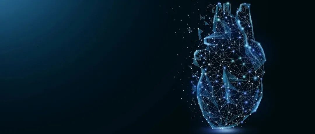 基因疗法再获突破：治疗心力衰竭，有效改善心脏功能 | Science子刊