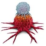 靶向CD3/CD20，艾伯维重磅合作产品​在中国申报临床