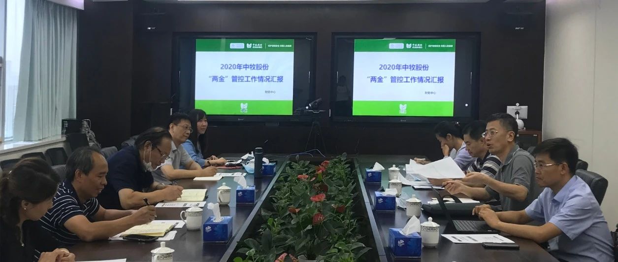 中国农发集团副总经理曹恒真等领导到公司调研指导“两金”工作