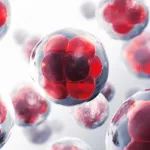 Century Therapeutics完成1.6亿美元融资，开发iPSC衍生细胞治疗