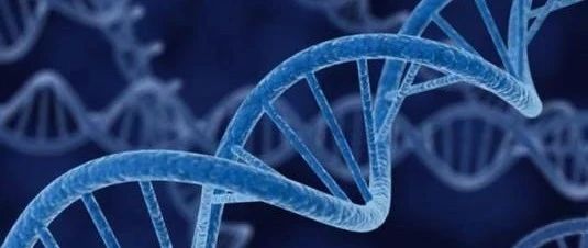 裕策生物与NanoString 达成战略合作 共建中国首个肿瘤免疫示范实验室