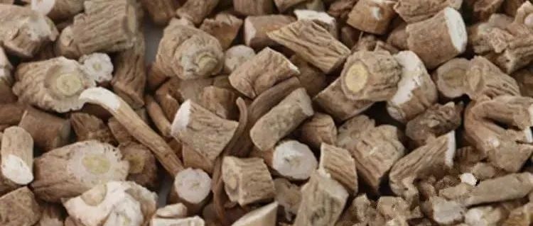 Nature子刊三连发！中药多组学研究取得重大突破