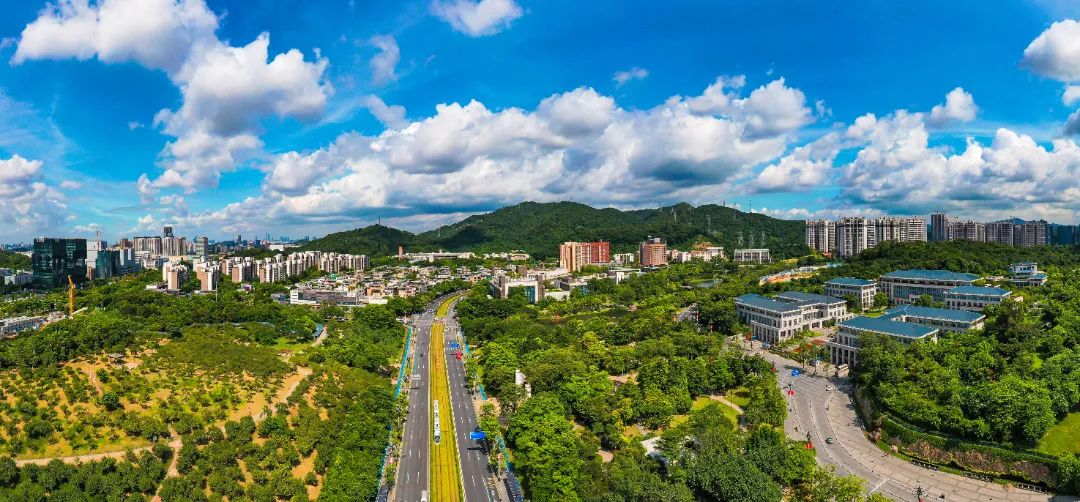 区府附近 贾自豪.jpg