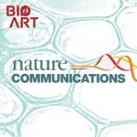 Nat Commun | 姜道华/黄卓/赵岩合作解析了人源NaV1.6钠离子通道复合物作用机制