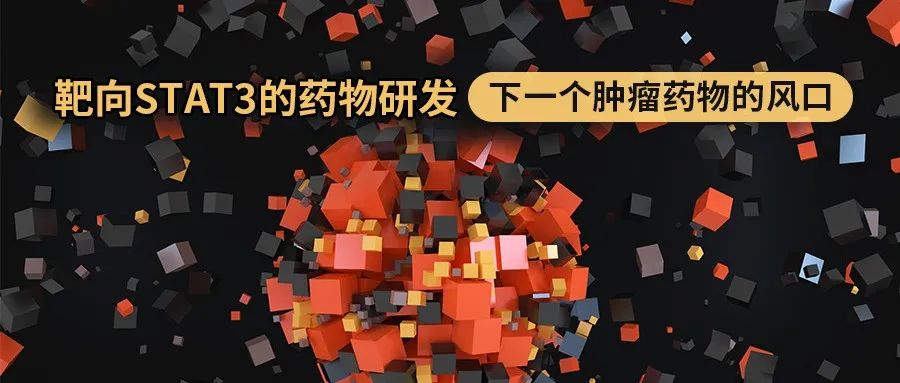 研发 | 靶向STAT3的药物研发：下一个肿瘤药物的风口