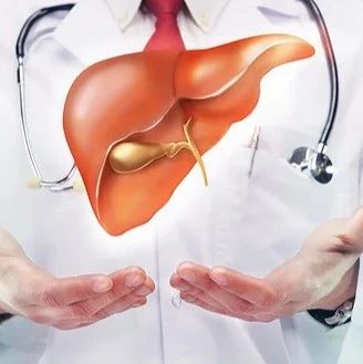 脂肪肝是“富贵病”不用治疗？关于脂肪肝的6大误区！