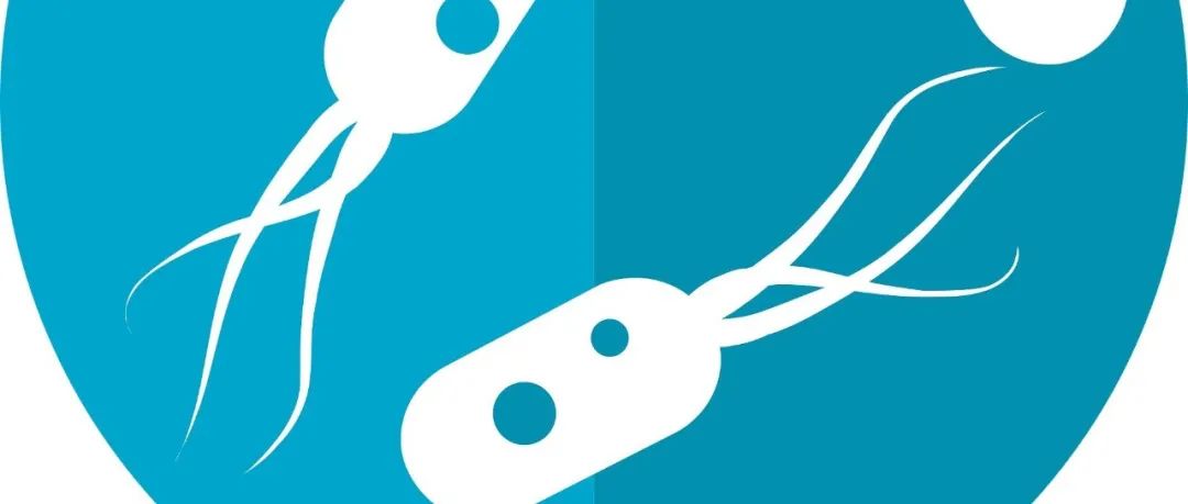 【新研究】为什么不好好吃饭、睡觉会影响健康？肠道菌群带你了解其中奥秘！