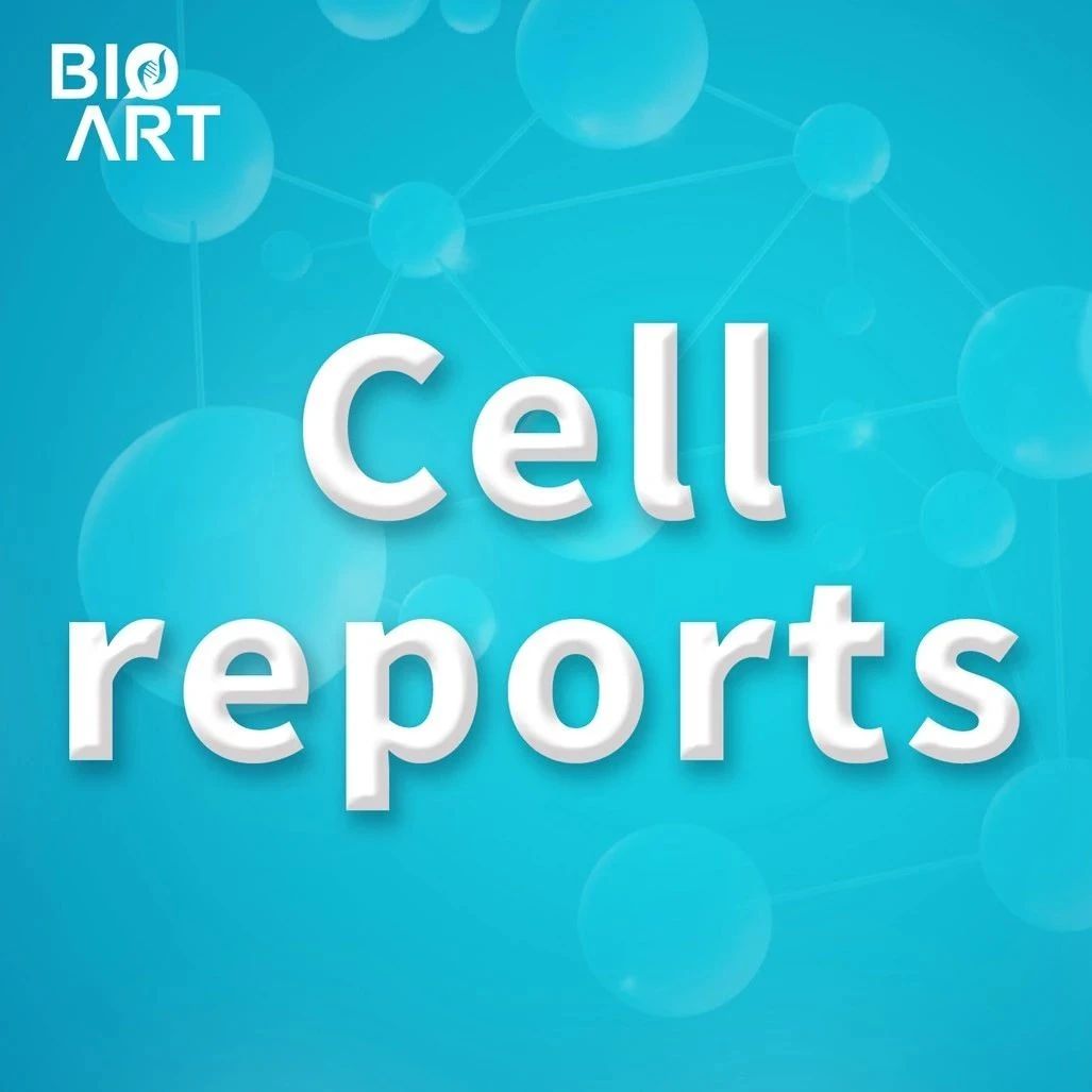 Cell Reports | 余巍/刘辰莹合作组揭示衰老基因SIRT2 调控丝氨酸合成途径参与肿瘤形成的机制