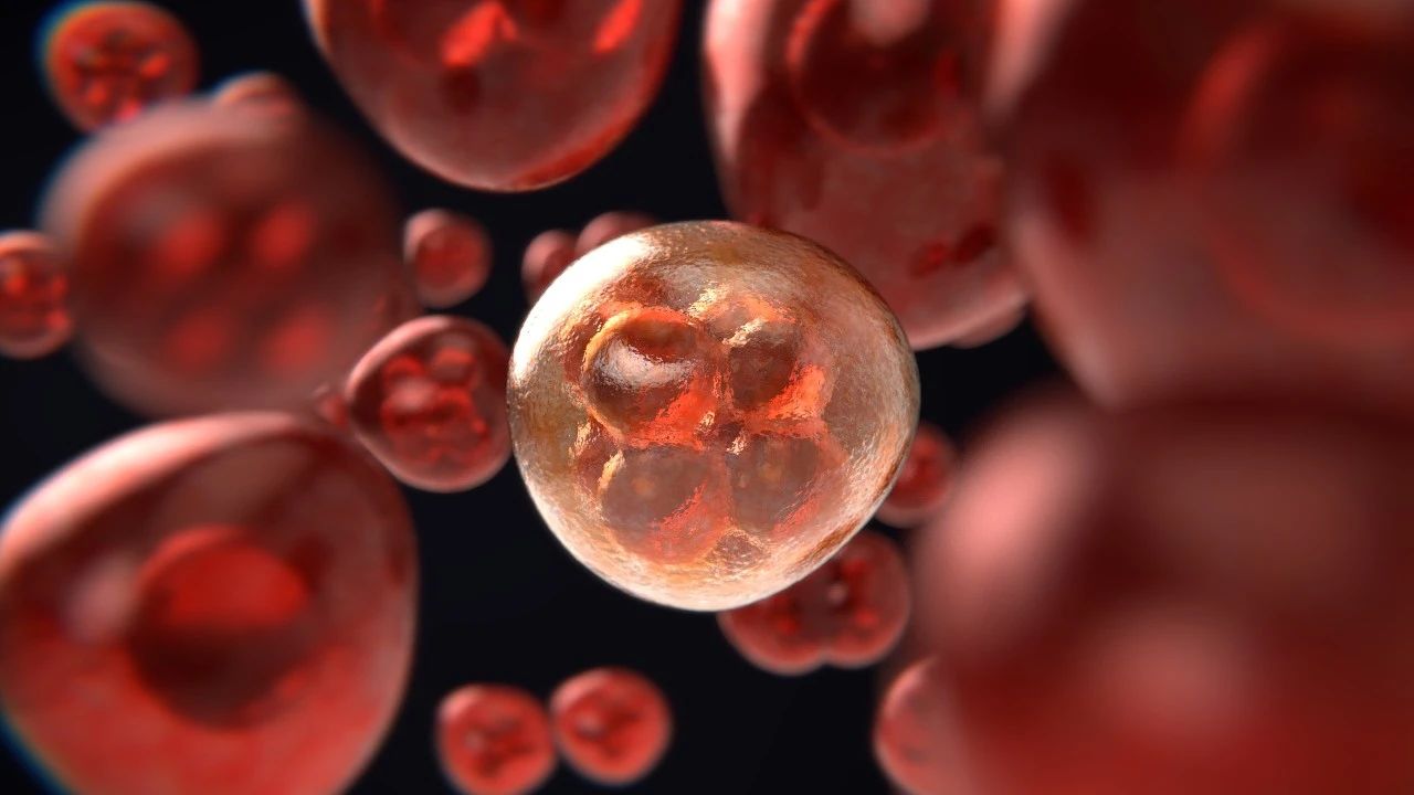 《自然》重磅：PCSK9抑制剂或成抗癌利器！海内外华人科学家联手证实，PCSK9抑制剂可增加癌细胞表面抗原数量，提升免疫治疗效果