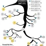高福/史卫峰Science发表观点文章：须重视新发H5N8禽流感病毒，可造成人感染
