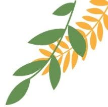 个人网店需要办理许可证吗？关于电商经营，不懂就来这里问！