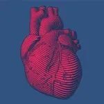 Nature子刊：单细胞全基因组测序揭示人类心脏在衰老过程中的突变