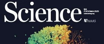 Science特刊【神经退行性疾病】之三 | 阿尔兹海默症：遗传风险向机制和药物靶标的转化